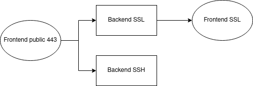 Description de l'objectif à atteindre : Un frontend Public 443 redistribue les flux vers un backend SSH et un backend SSL, ce dernier renvoyant ensuite vers le fronted HTTP SSL habituel